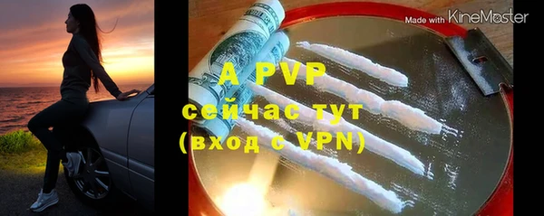 сатива Дмитров