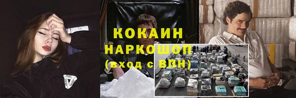 сатива Дмитров