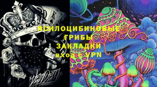 сатива Дмитров