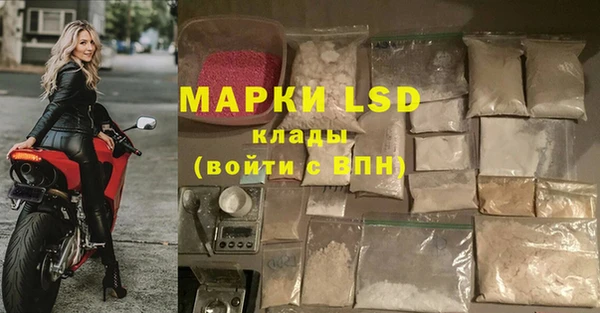 ALPHA PVP Дмитриев