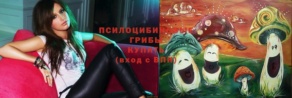 ешки Чегем
