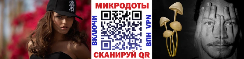 МЕГА как войти  Урень  Псилоцибиновые грибы Cubensis 